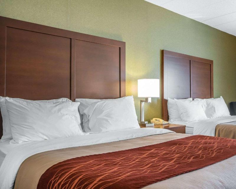 Comfort Inn Winchester image