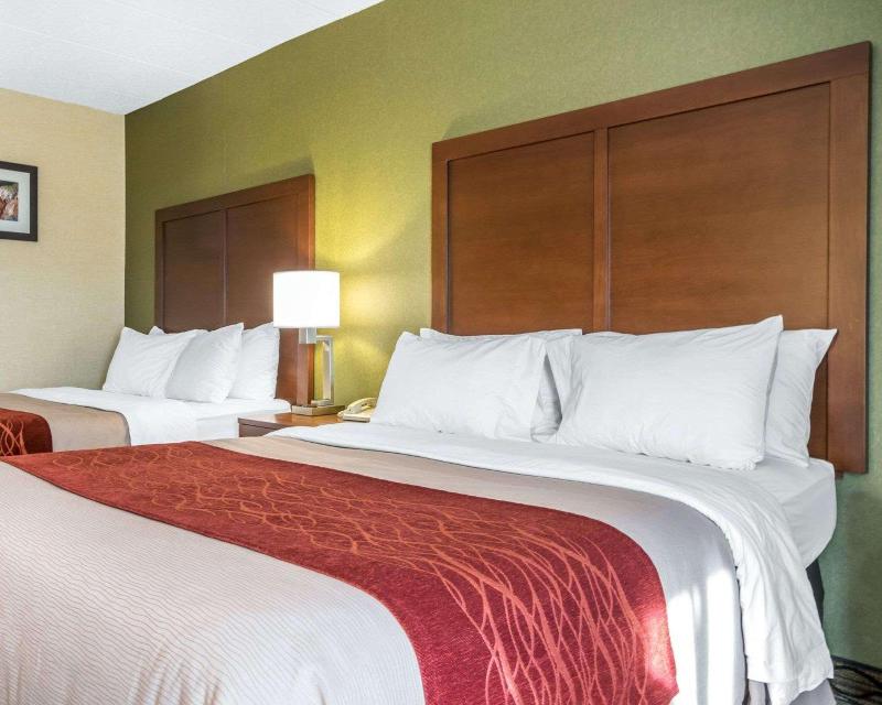 Comfort Inn Winchester image