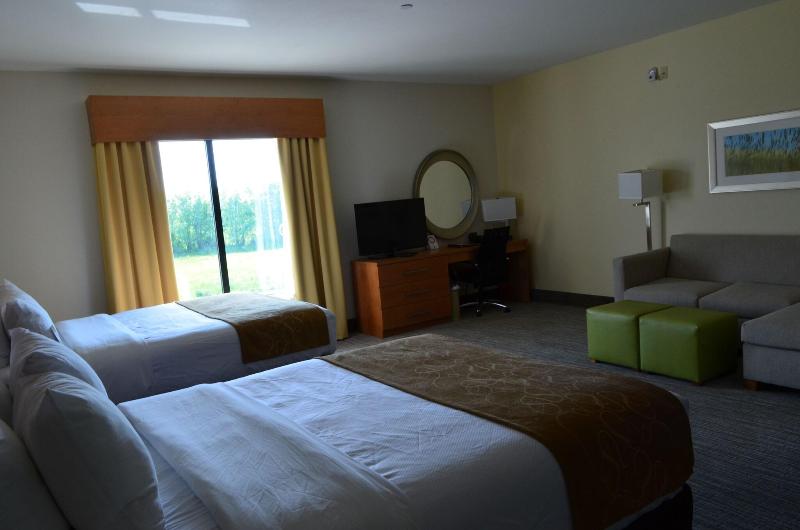 Comfort Suites Bossier City - Shreveport East image