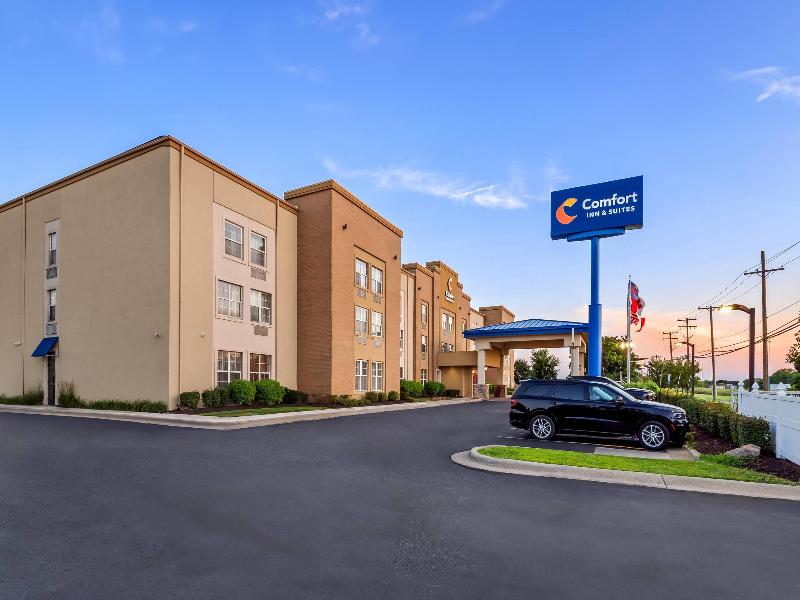 Comfort Inn & Suites Allen Park - Dearborn image