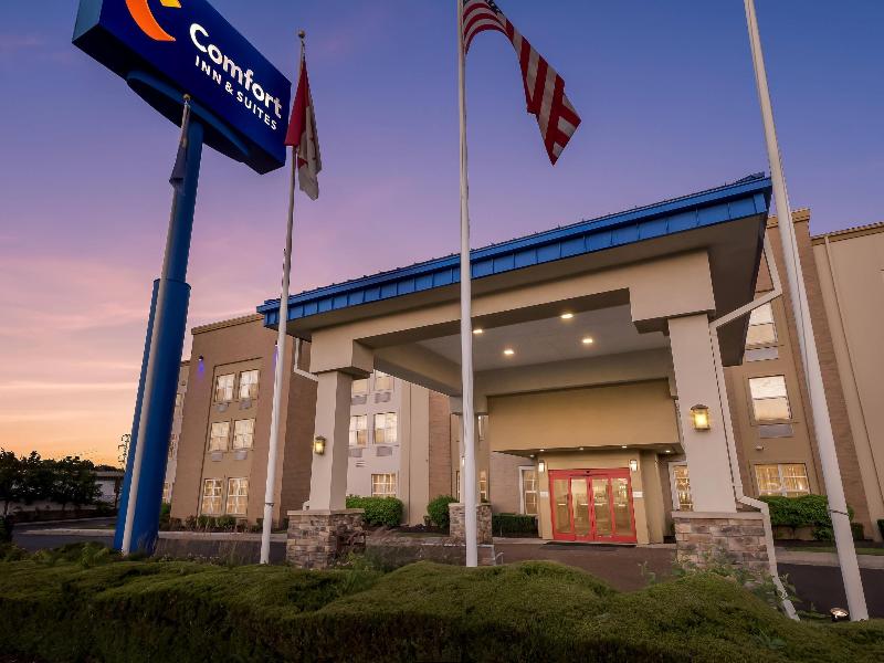 Comfort Inn & Suites Allen Park - Dearborn image