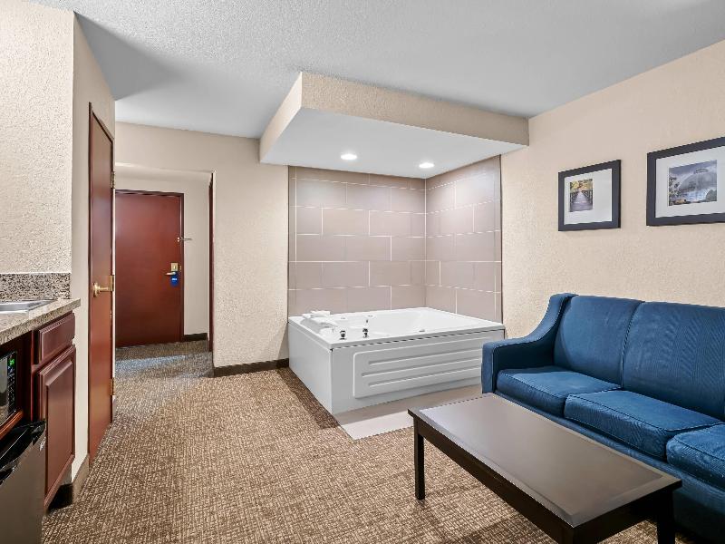 Comfort Inn & Suites Allen Park - Dearborn image