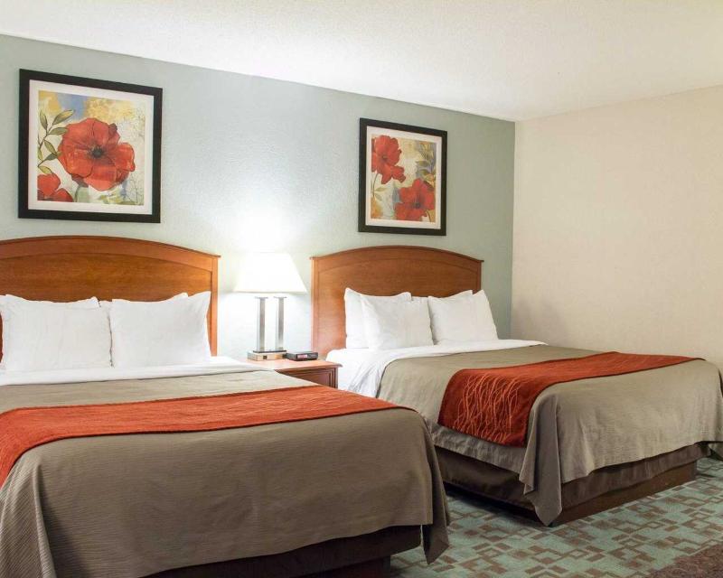 Comfort Inn Hastings image