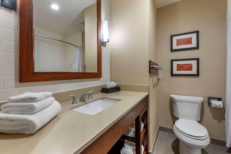 Comfort Inn & Suites Pittsburgh image