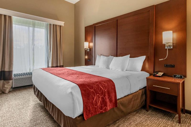 Comfort Suites Manheim - Lancaster image