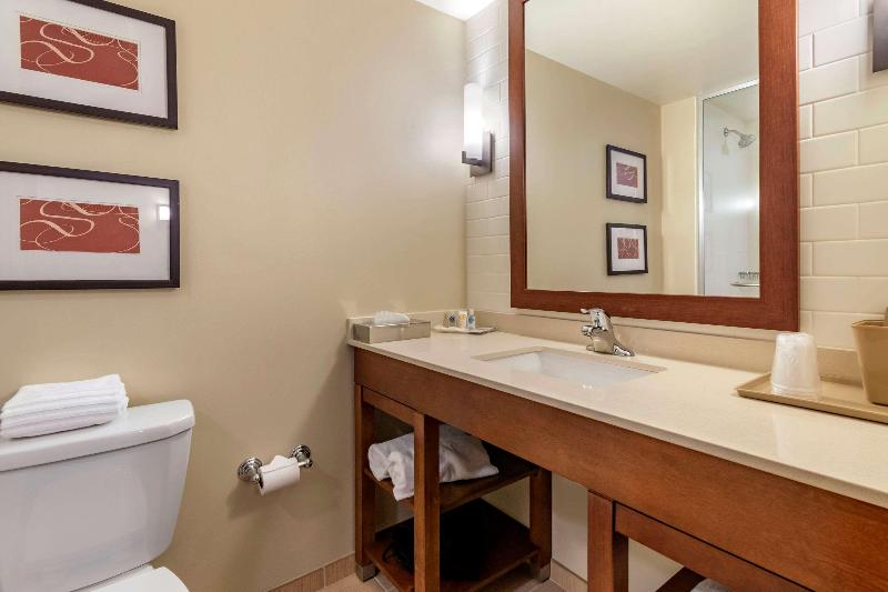 Comfort Suites Manheim - Lancaster image