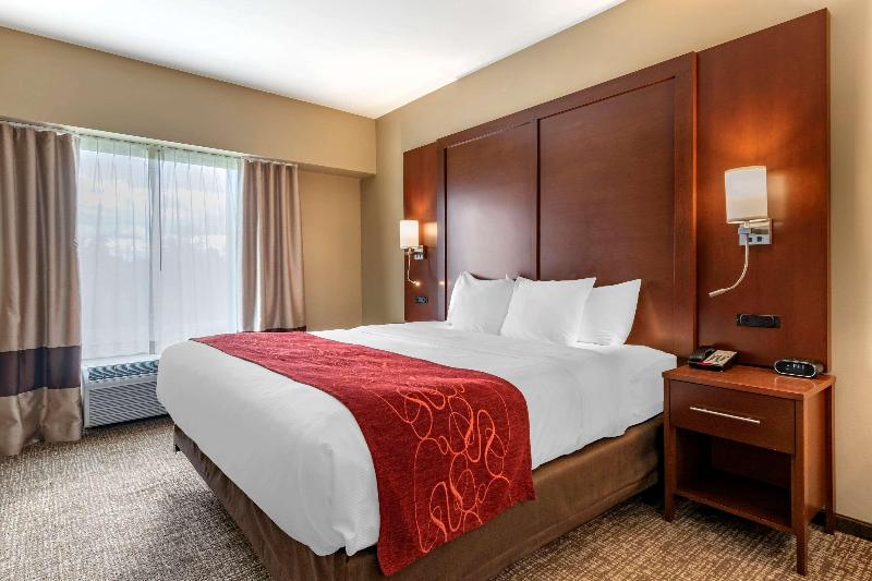 Comfort Suites Manheim - Lancaster image