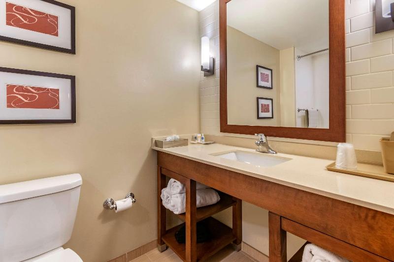 Comfort Suites Manheim - Lancaster image