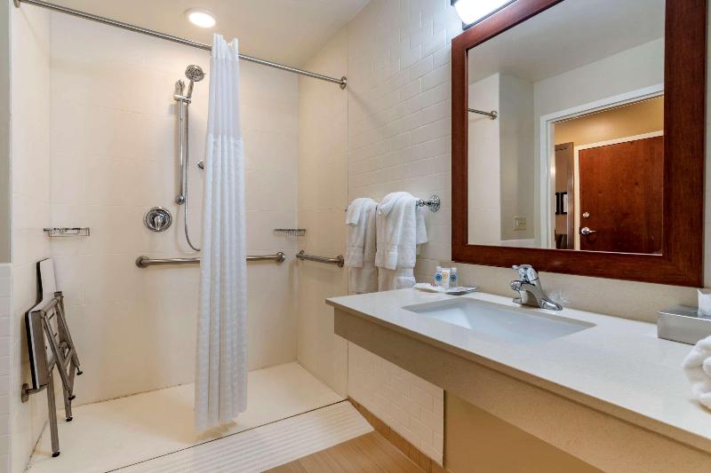 Comfort Suites Manheim - Lancaster image