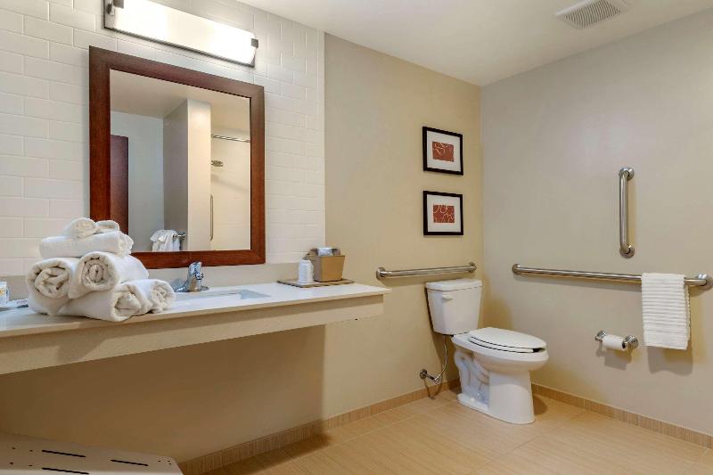 Comfort Suites Manheim - Lancaster image