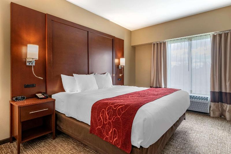 Comfort Suites Manheim - Lancaster image