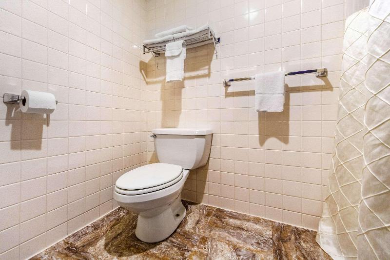 Econo Lodge Inn & Suites image