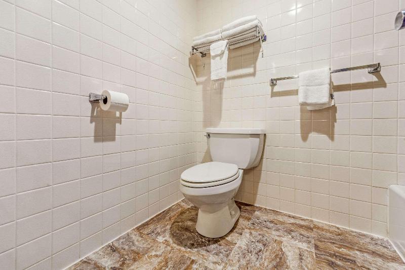 Econo Lodge Inn & Suites image