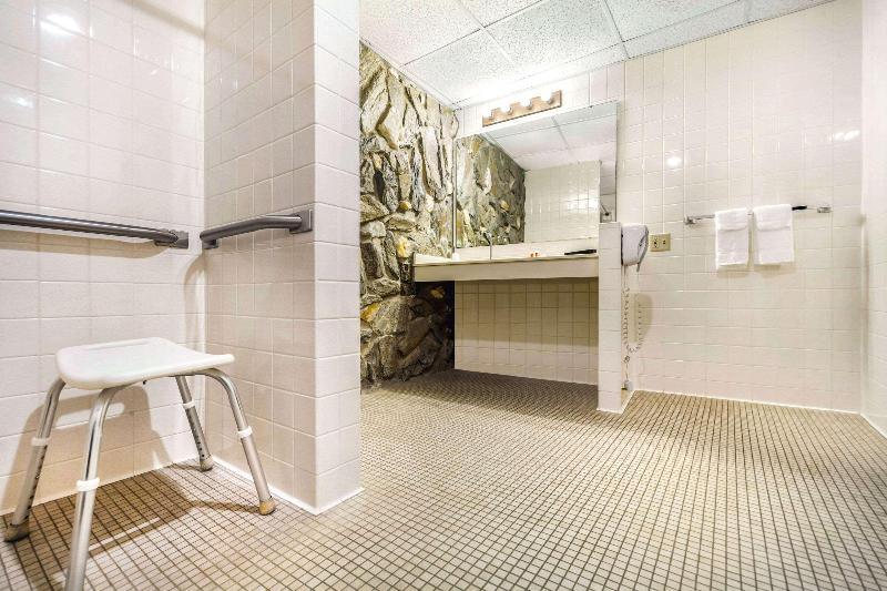 Econo Lodge Inn & Suites image