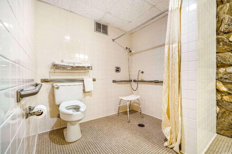 Econo Lodge Inn & Suites image