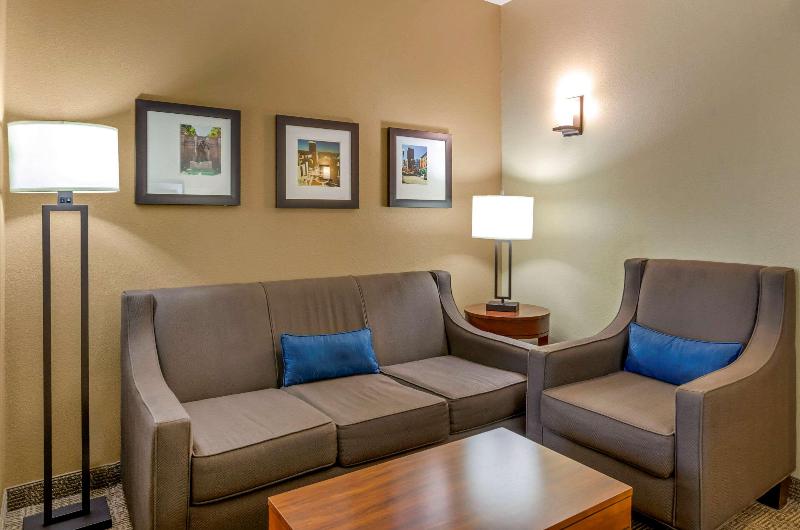Hotel Comfort Inn & Suites Lynchburg Area