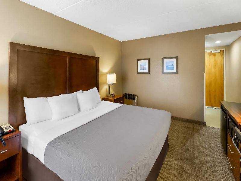 Quality Inn image