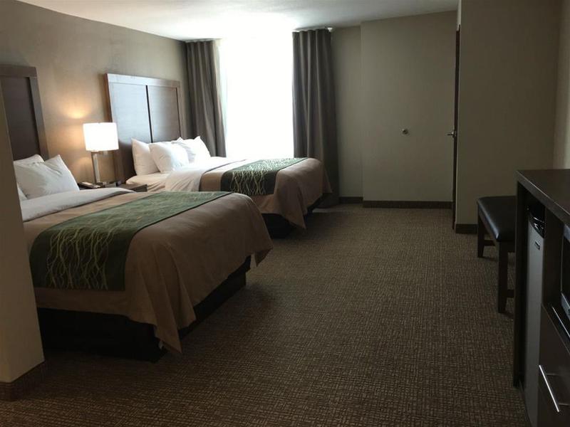 Comfort Inn & Suites Snyder image