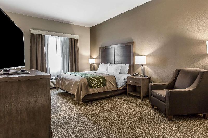 Comfort Inn & Suites Snyder image