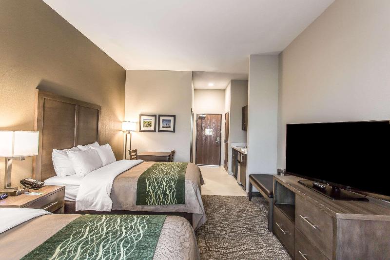 Comfort Inn & Suites Snyder image