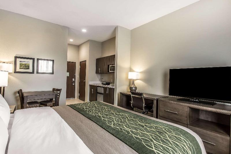 Comfort Inn & Suites Snyder image