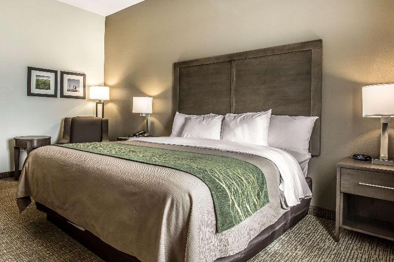 Comfort Inn & Suites Snyder image