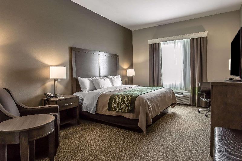 Comfort Inn & Suites Snyder image