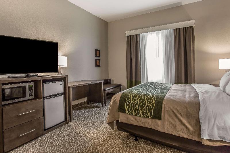 Comfort Inn & Suites Snyder image