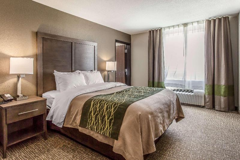 Comfort Inn & Suites Snyder image
