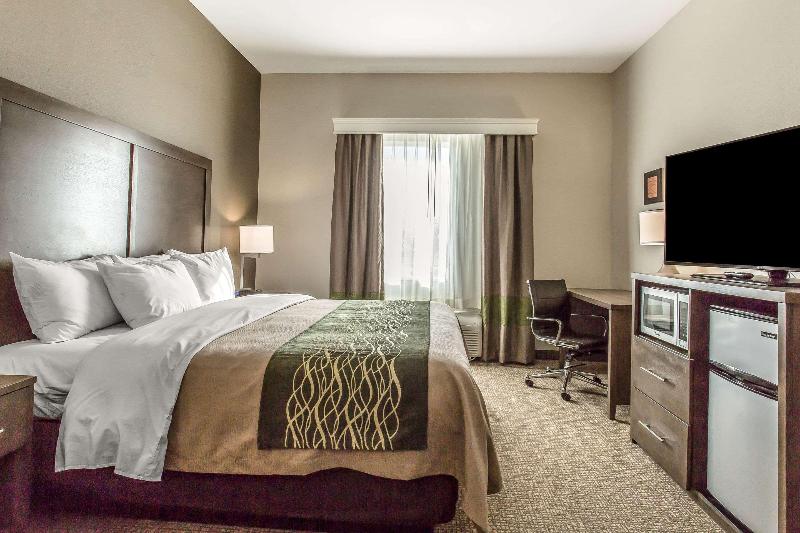 Comfort Inn & Suites Snyder image