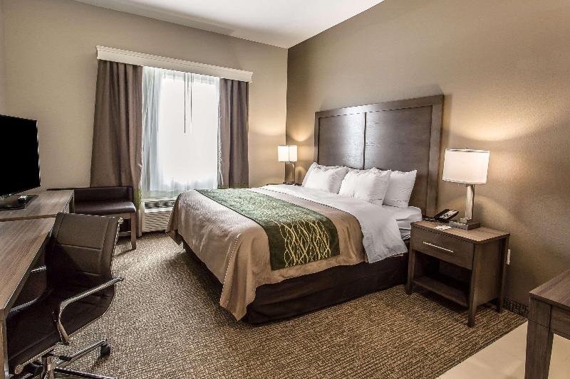 Comfort Inn & Suites Snyder image