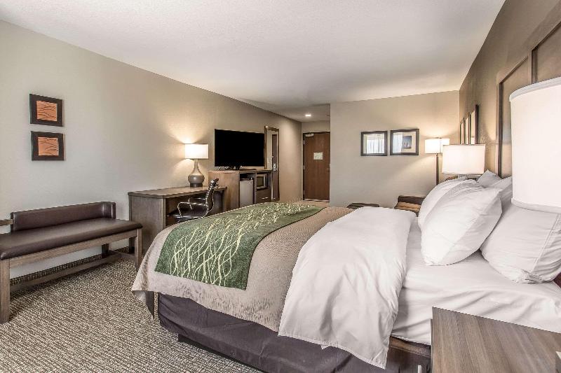 Comfort Inn & Suites Snyder image