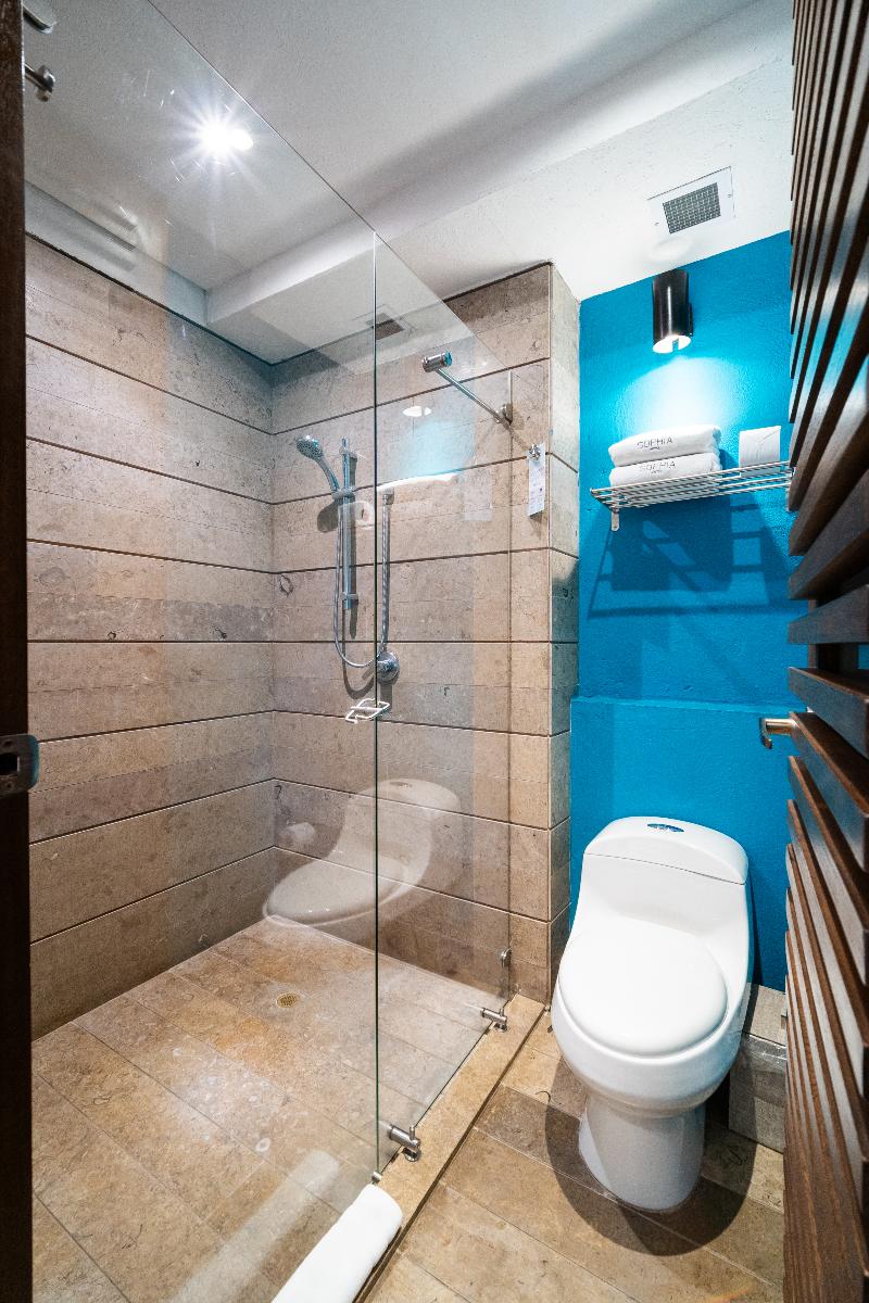 Sophia Hotel image