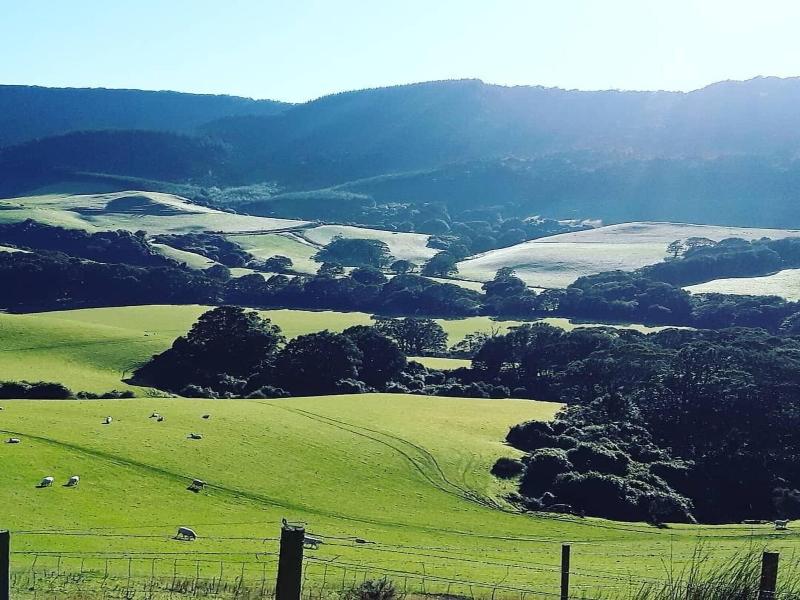 Catlins Mohua Park