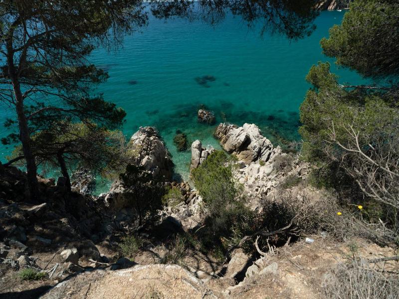 T Luxury House In Cala Llevado image