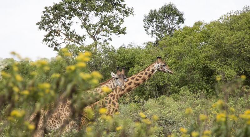 Guesthouses Tanzania Africa Amini Life