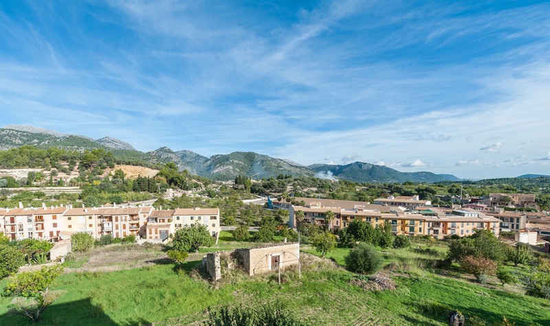 Salvatge — main photo