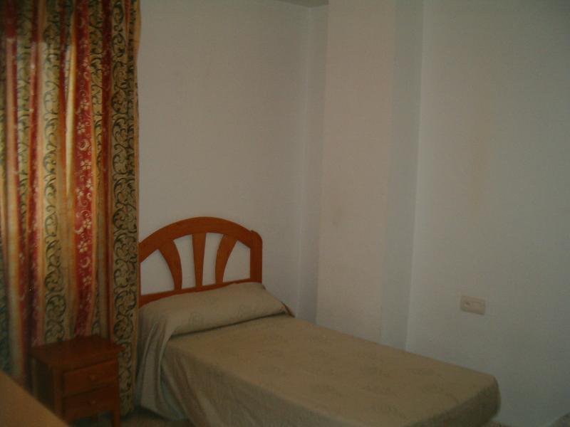 Apartment in Malaga 100712