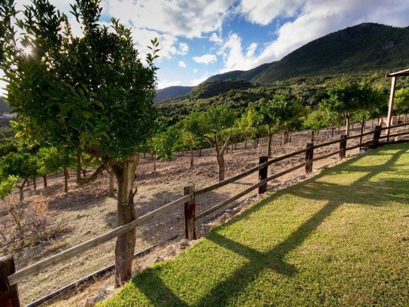 Villa Carretera Ubrique-El Bosque, KM. 5  No.1 image