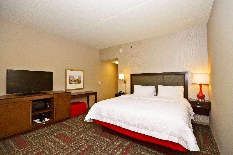 Hampton Inn Pulaski image