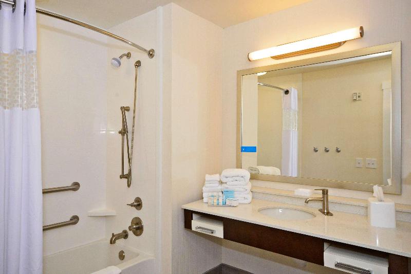 Hampton Inn Pulaski image