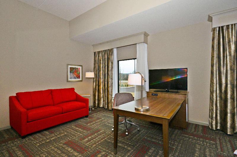 Hampton Inn Pulaski image