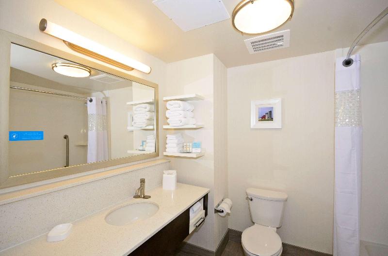 Hampton Inn Pulaski image