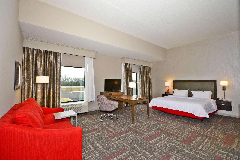 Hampton Inn Pulaski image
