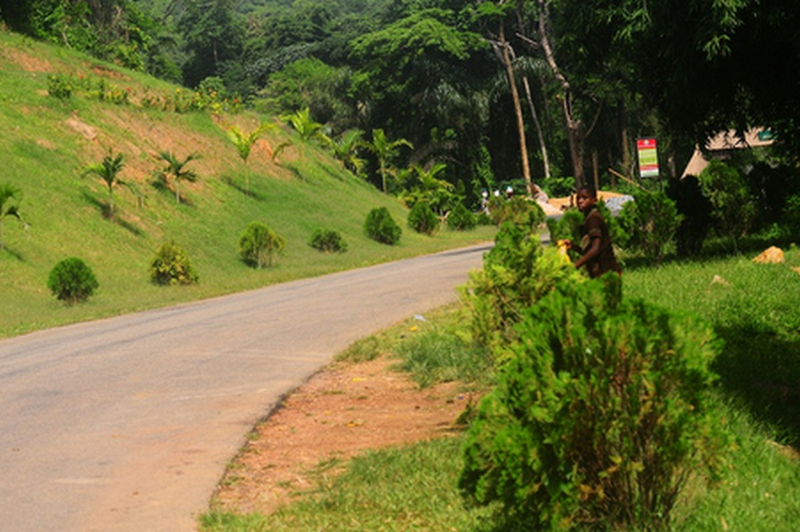 Ikogosi Warm Springs — photo 2