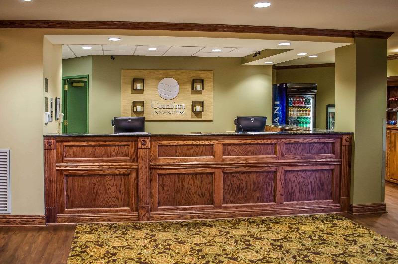 Comfort Inn & Suites Northern Malbis image