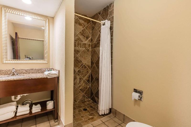 Comfort Inn & Suites Jasper Hwy 78 West image