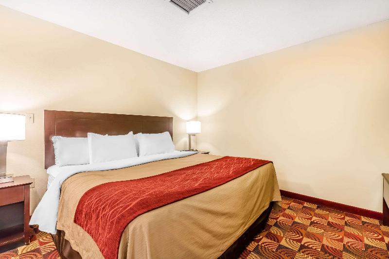 Comfort Inn & Suites Jasper Hwy 78 West image