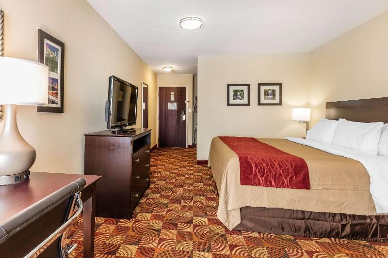 Comfort Inn & Suites Jasper Hwy 78 West image