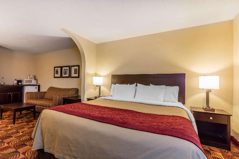 Comfort Inn & Suites Jasper Hwy 78 West image